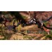 Away The Survival Series (PS5), ,